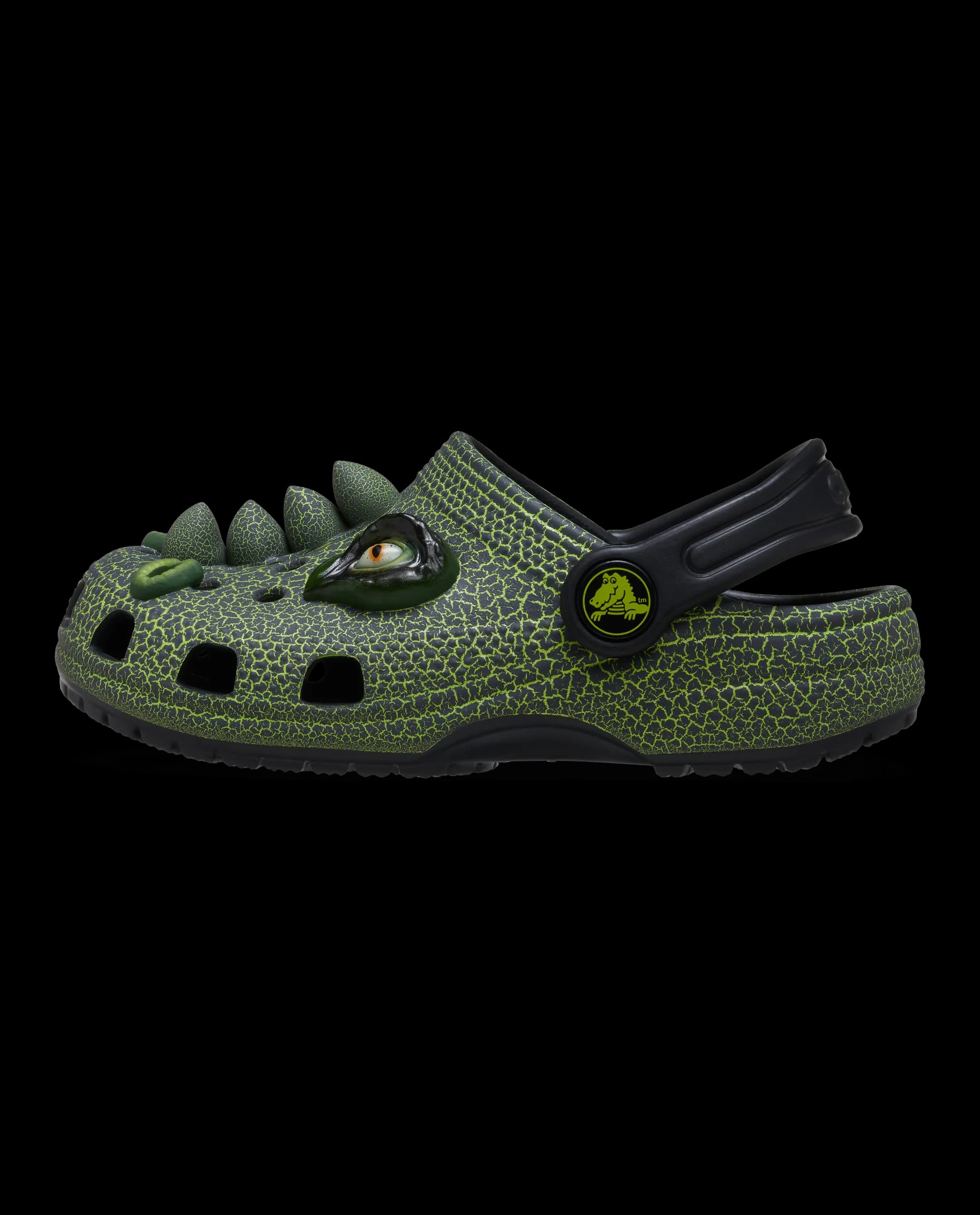 Crocs Kids' Classic I Am Scary Dino Clog Black
