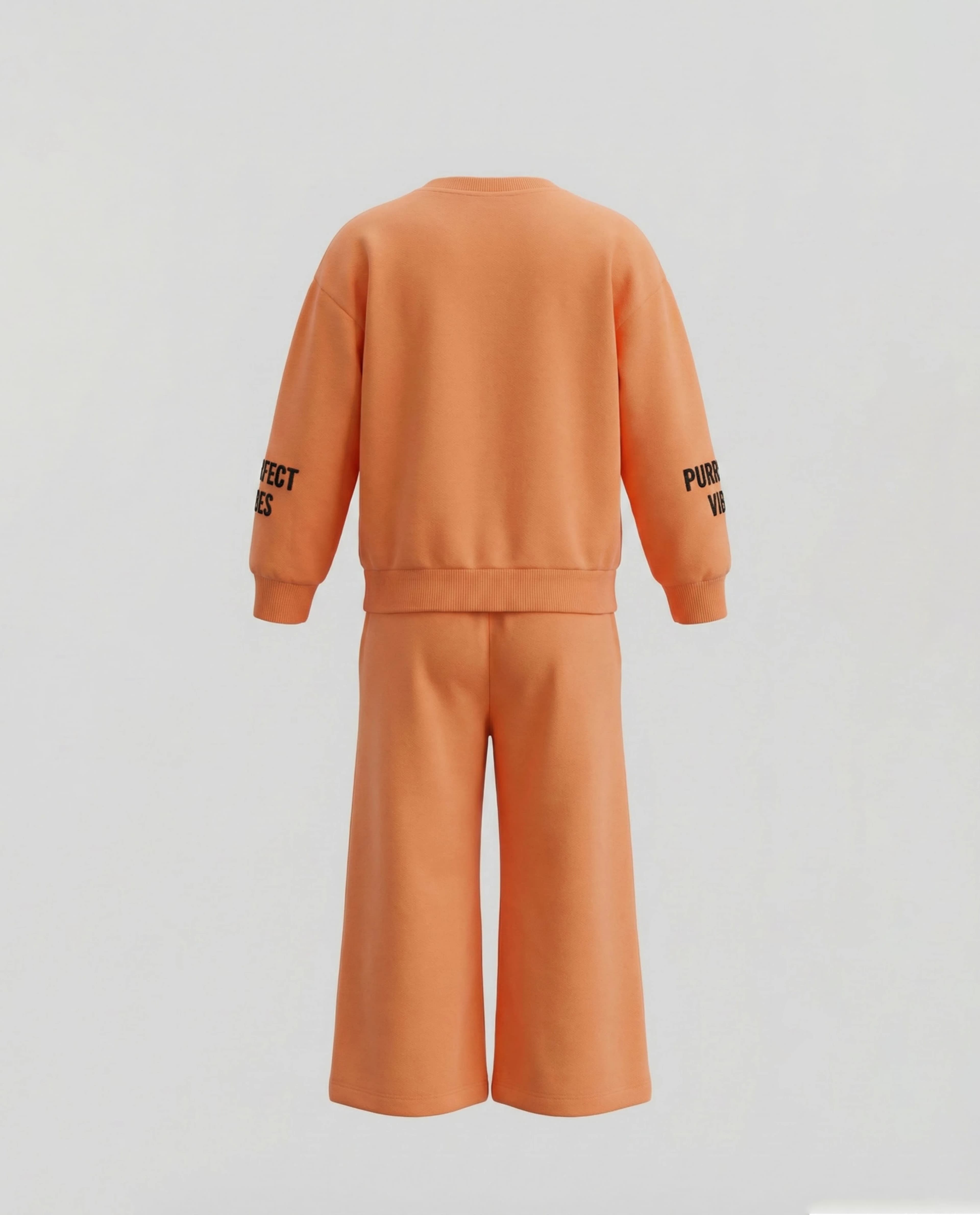 Babies & more long Sleeves Sweat Top And Jogger Set