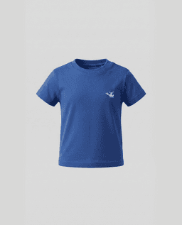Product main view